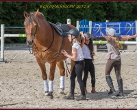1-13JUIN 0754